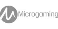 Visa partner logo